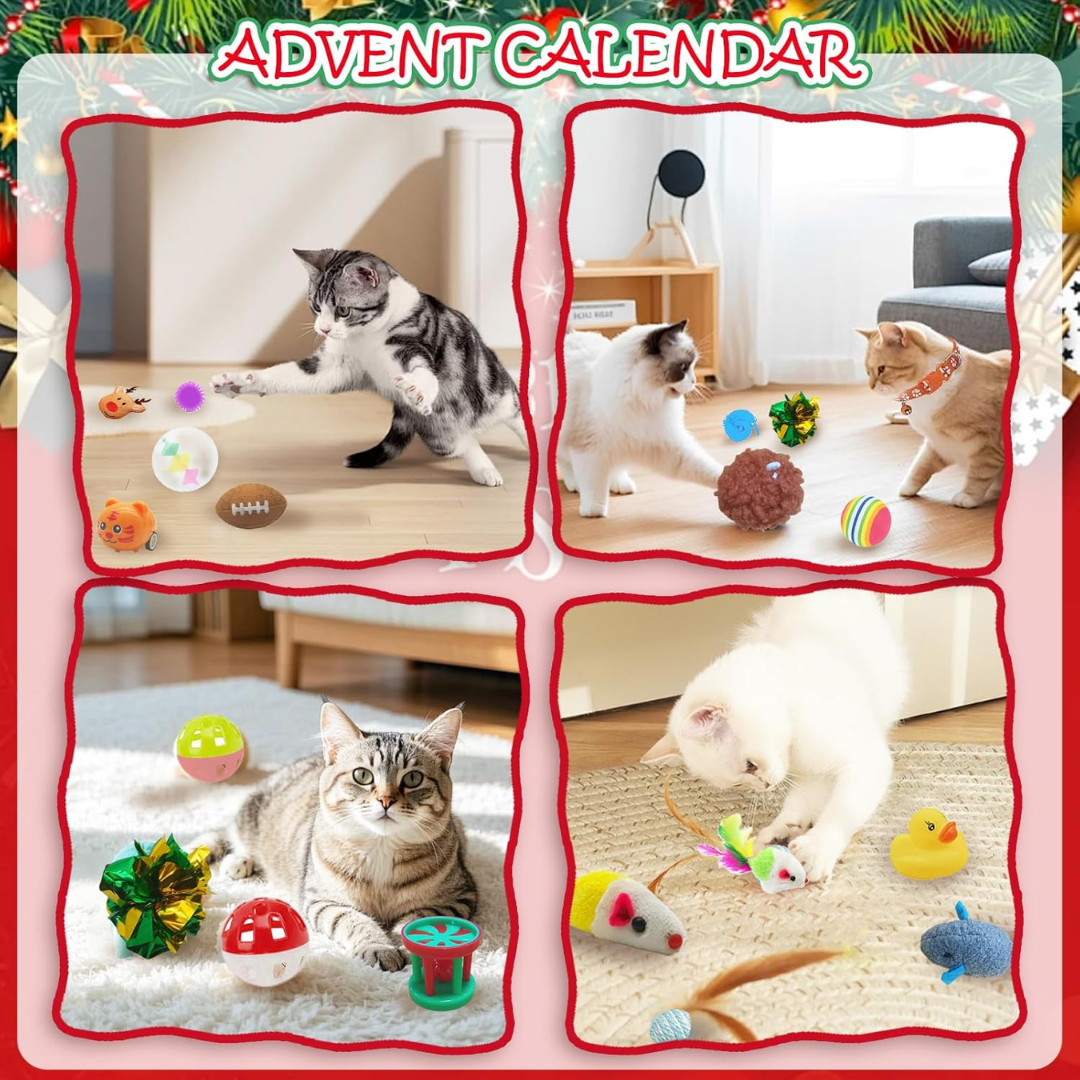Calendario de adviento para gatos